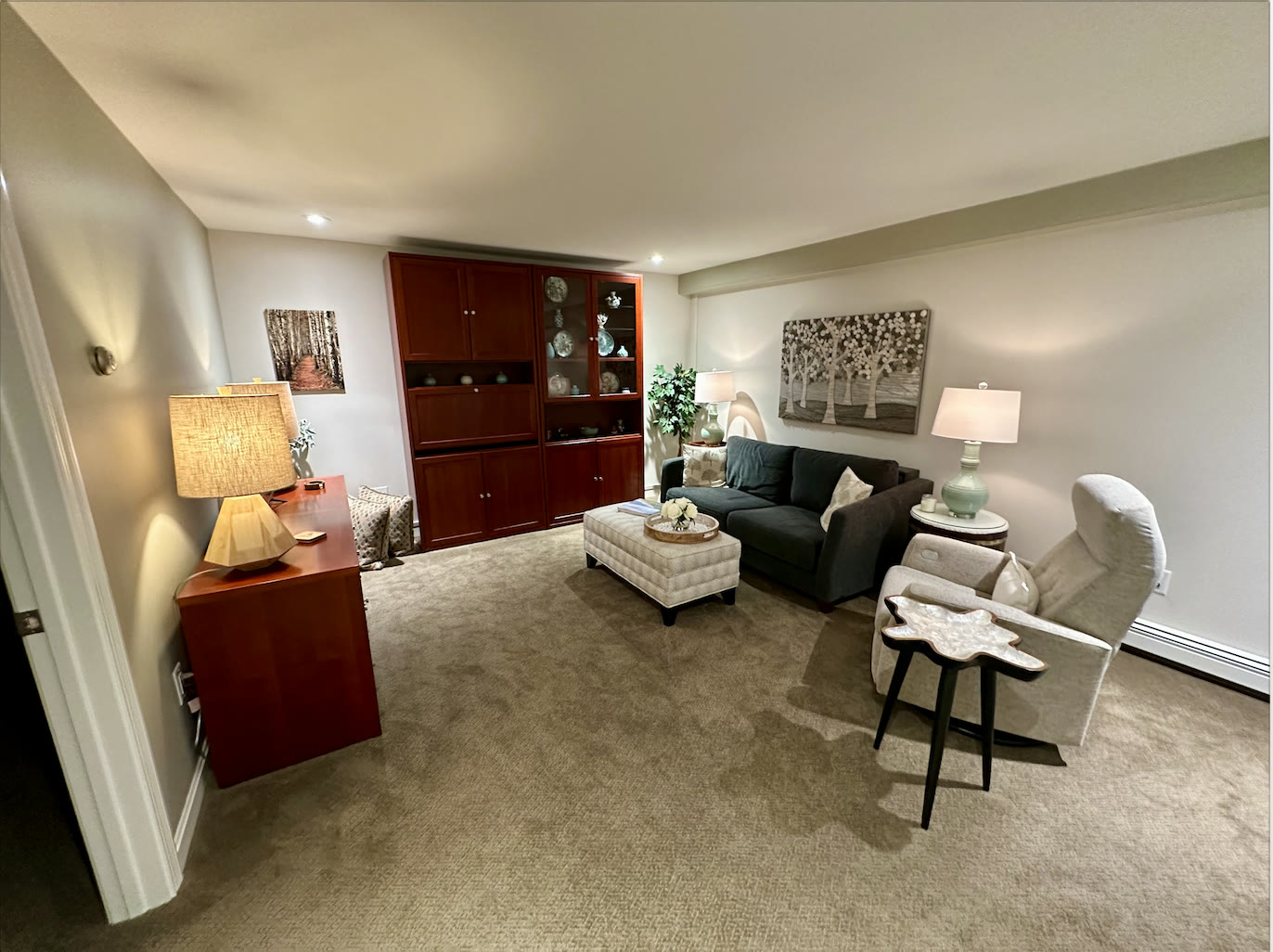 Living room with sofa bed